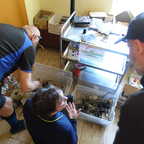 2025-05-036 - HomeCon 84 - Commodore-Netzteile zu verschenken